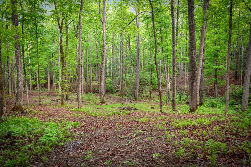 66 Windy Hill Drive, Cherry Log GA 30522 - Photo