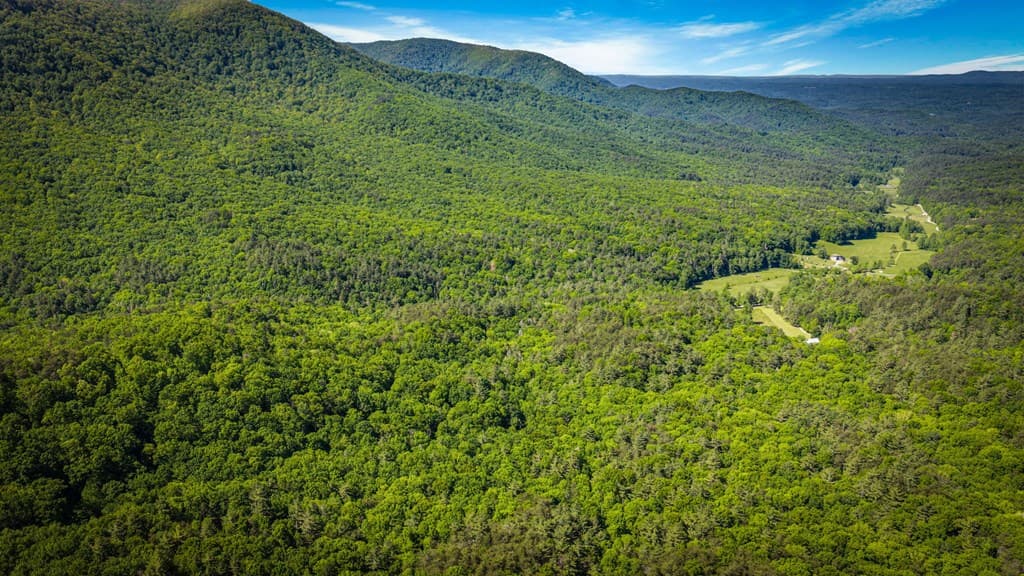 66 Windy Hill Drive, Cherry Log GA 30522 - Photo