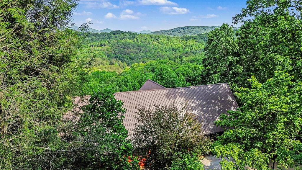 112 Eagles Nest Lane, Blue Ridge GA 30513 - Photo