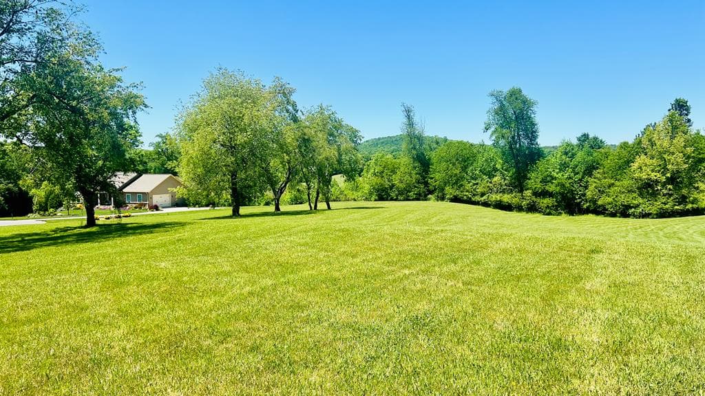 Lot 108 Owen Glen, Blairsville GA 30512 - Primary photo