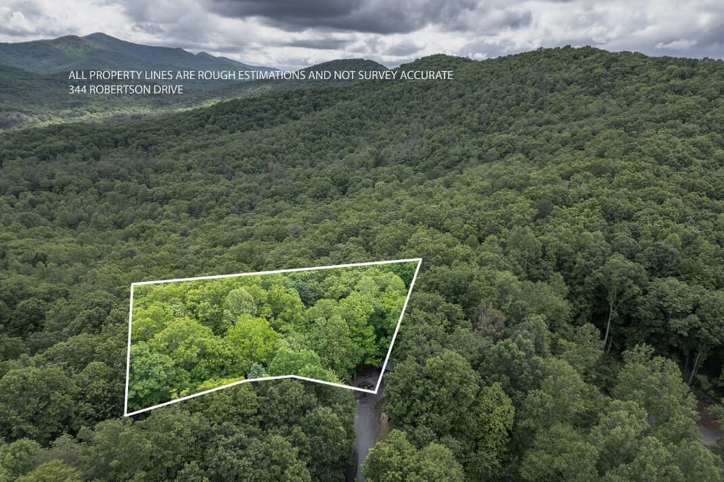344 Robertson Drive, Blairsville GA 30512 - Photo