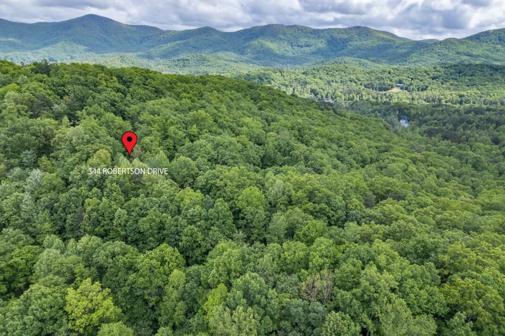 344 Robertson Drive, Blairsville GA 30512 - Photo