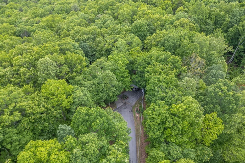344 Robertson Drive, Blairsville GA 30512 - Photo