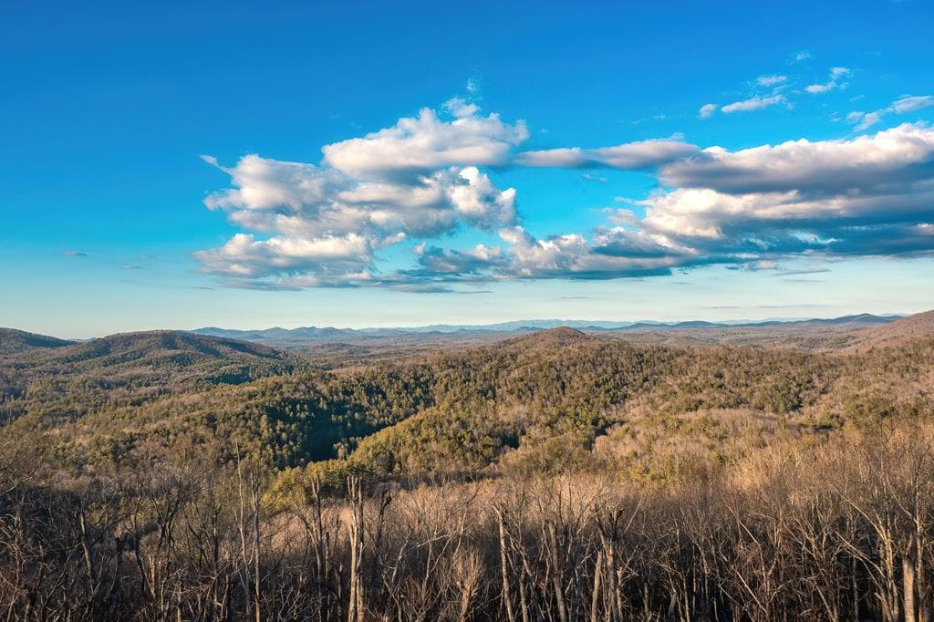 470 Skylight Drive, Blue Ridge GA 30513 - Photo