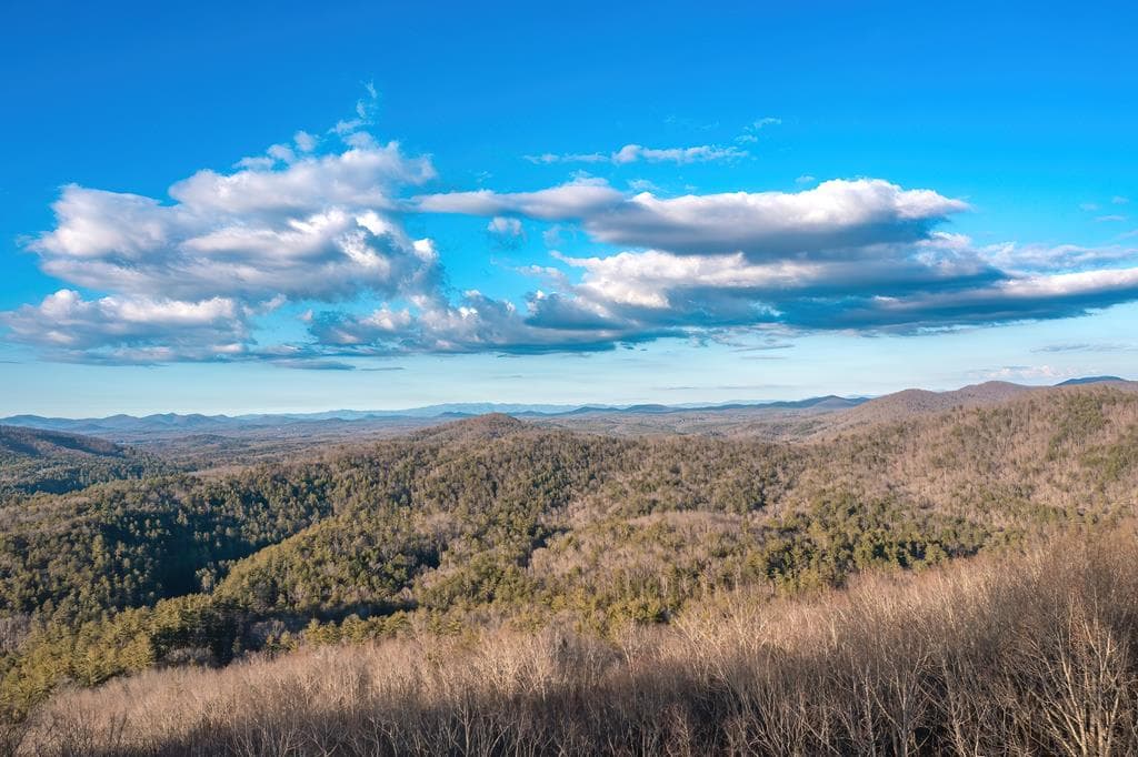 470 Skylight Drive, Blue Ridge GA 30513 - Photo