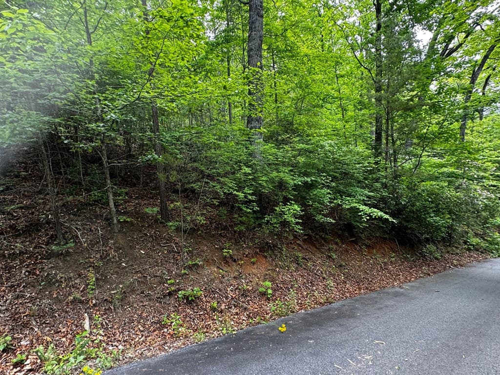 #6 Pounding Mill Overlook, Hayesville NC 28904 - Photo