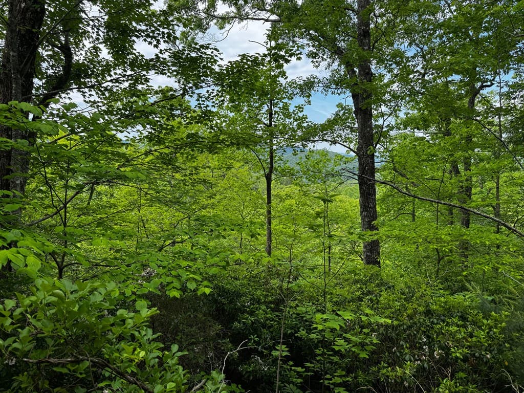 #6 Pounding Mill Overlook, Hayesville NC 28904 - Photo