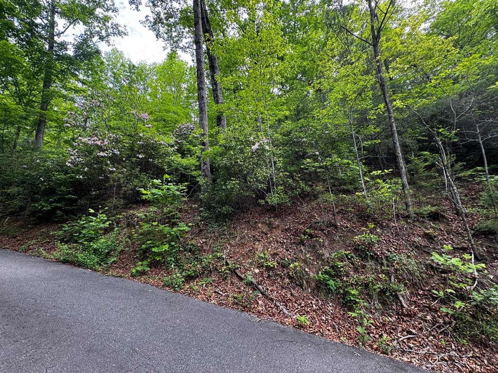#6 Pounding Mill Overlook, Hayesville NC 28904 - Photo