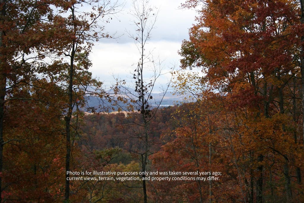 #6 Pounding Mill Overlook, Hayesville NC 28904 - Photo