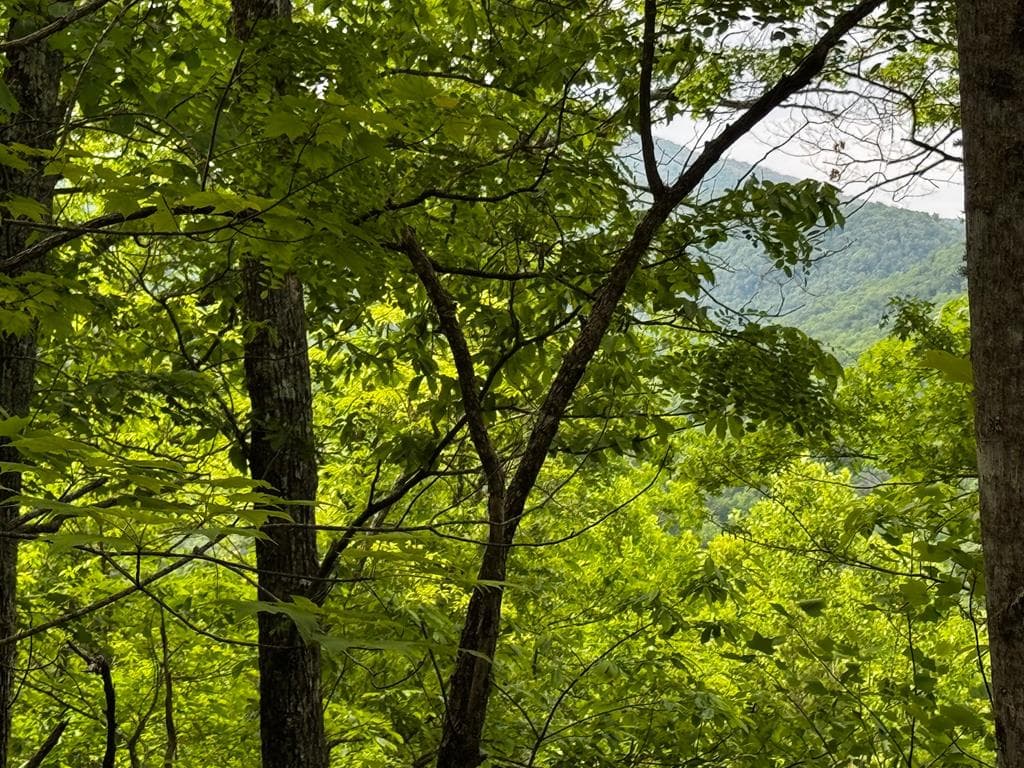 #6 Pounding Mill Overlook, Hayesville NC 28904 - Primary photo
