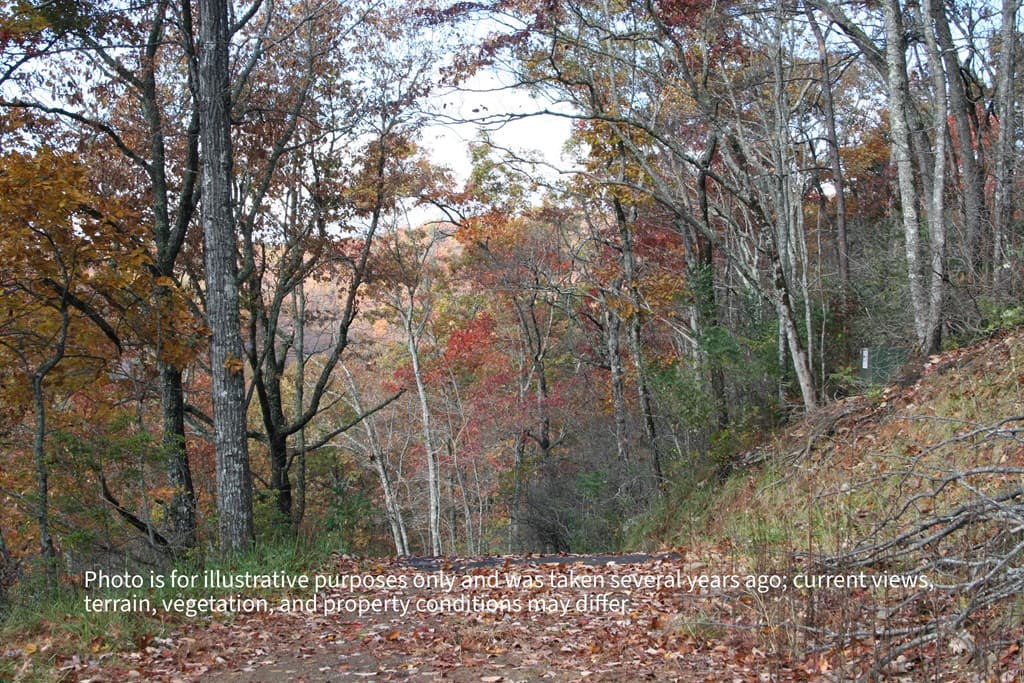 #6 Pounding Mill Overlook, Hayesville NC 28904 - Photo