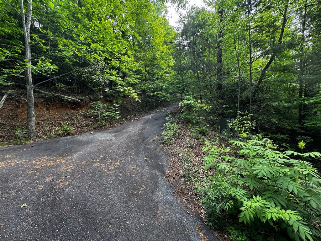 #6 Pounding Mill Overlook, Hayesville NC 28904 - Photo