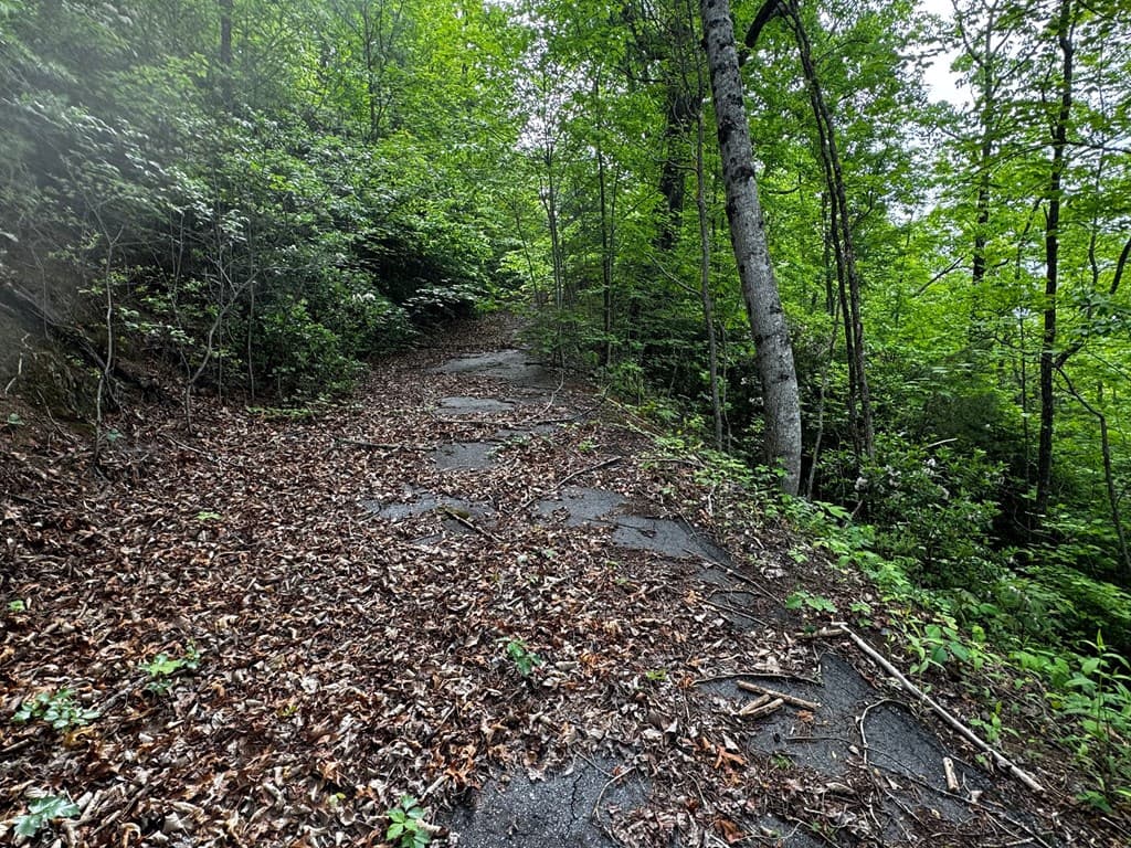 #6 Pounding Mill Overlook, Hayesville NC 28904 - Photo