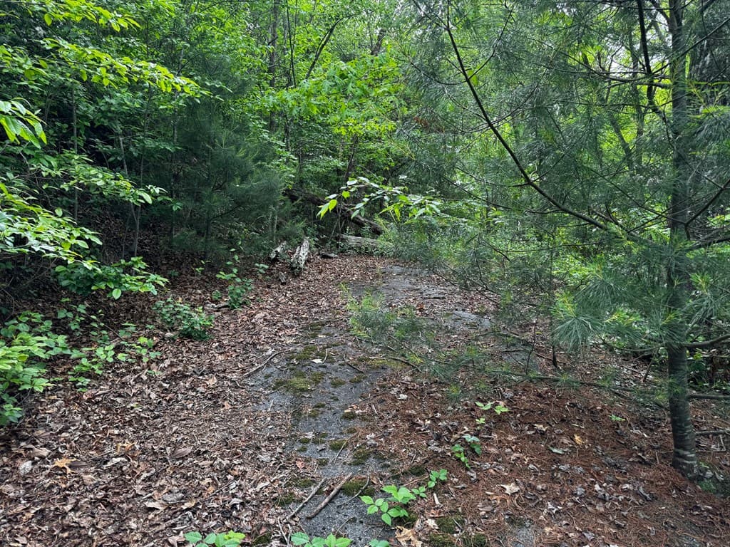 #6 Pounding Mill Overlook, Hayesville NC 28904 - Photo
