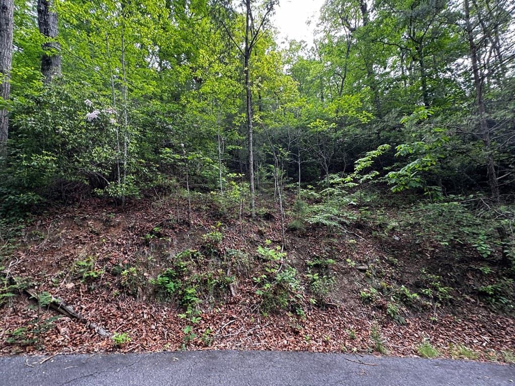 #6 Pounding Mill Overlook, Hayesville NC 28904 - Photo