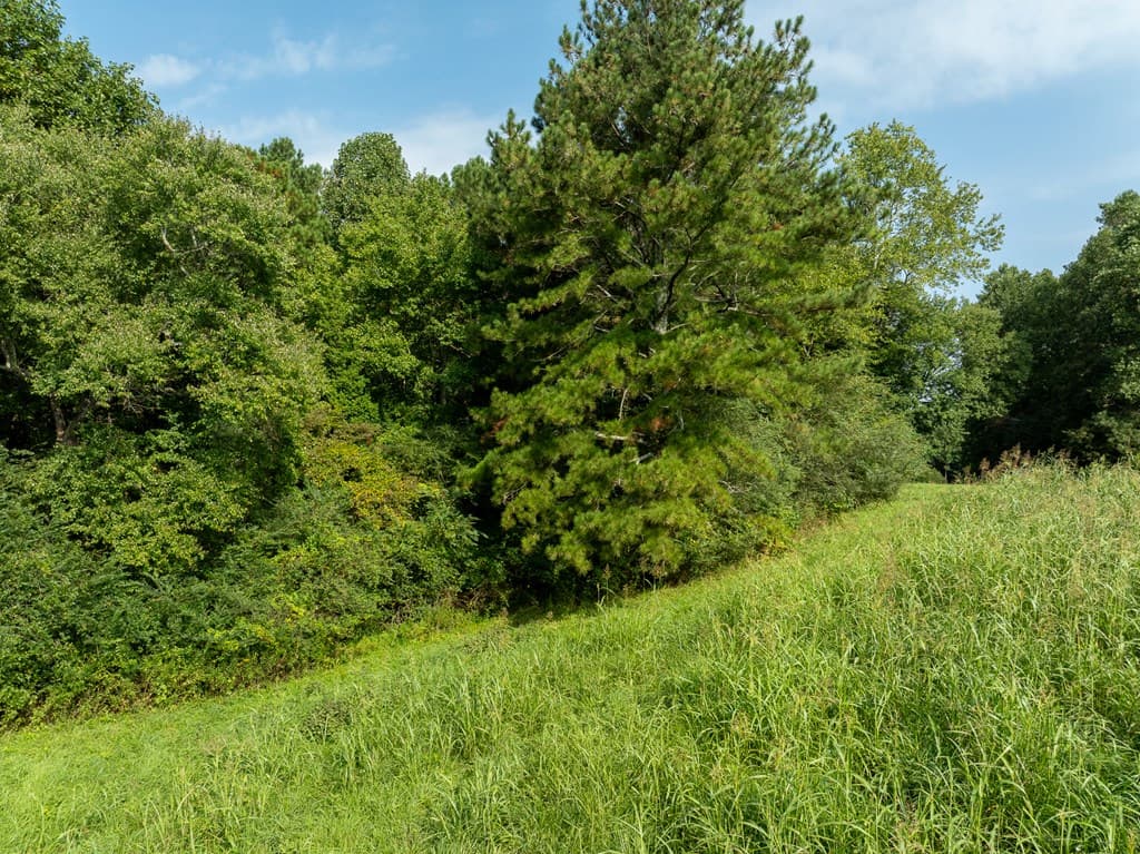 Lot 3 Highpoint Ridge Road, Ellijay GA 30536 - Photo