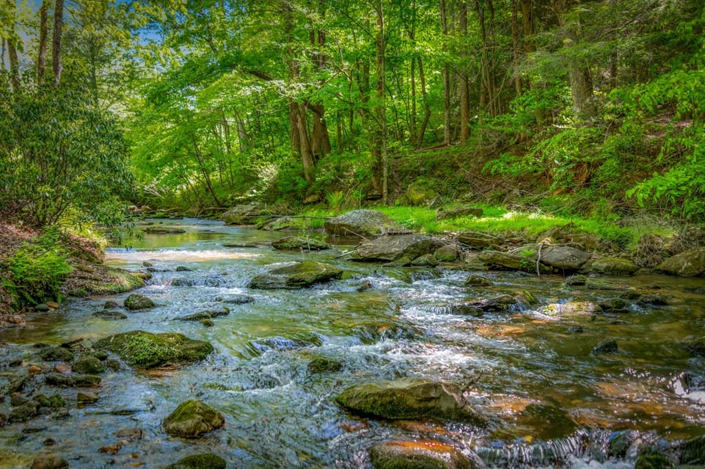 2100 Big Creek Road, Cherry Log GA 30522 - Photo