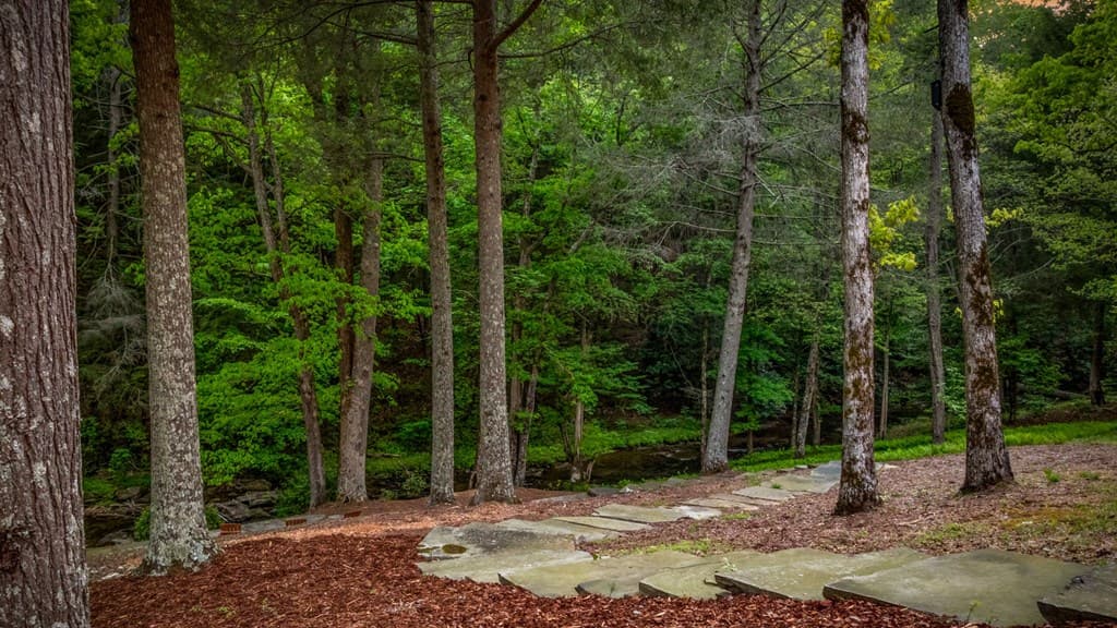 2100 Big Creek Road, Cherry Log GA 30522 - Photo
