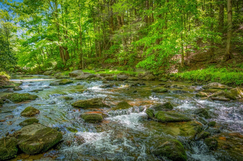 2100 Big Creek Road, Cherry Log GA 30522 - Photo