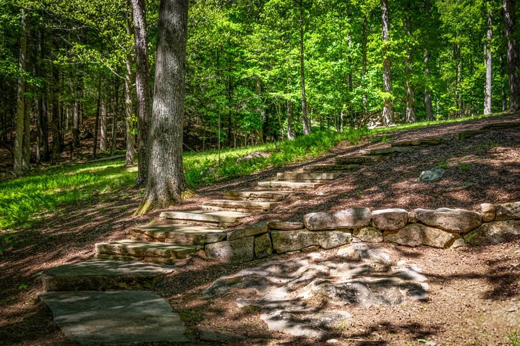 2100 Big Creek Road, Cherry Log GA 30522 - Photo