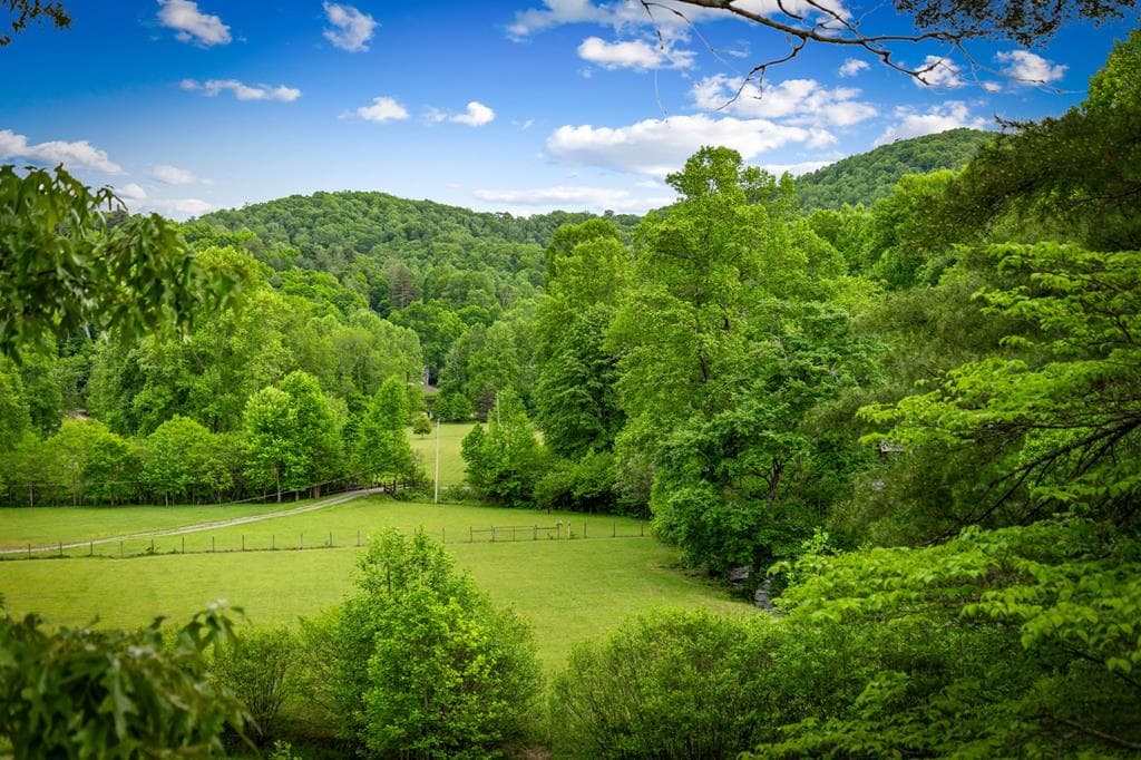 2100 Big Creek Road, Cherry Log GA 30522 - Photo