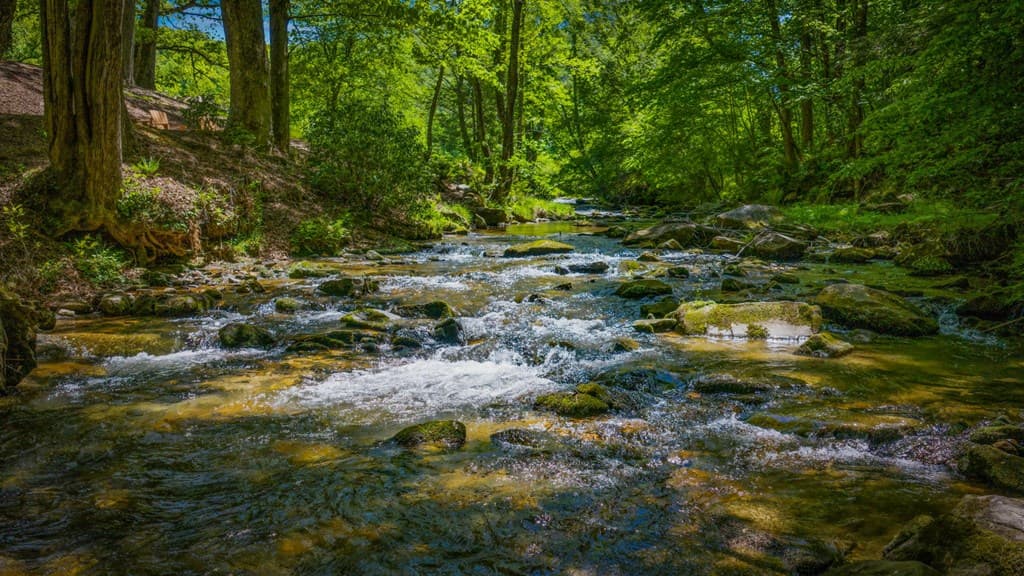 2100 Big Creek Road, Cherry Log GA 30522 - Photo