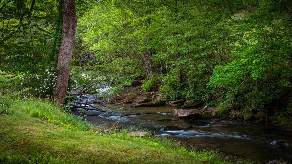 2100 Big Creek Road, Cherry Log GA 30522 - Photo