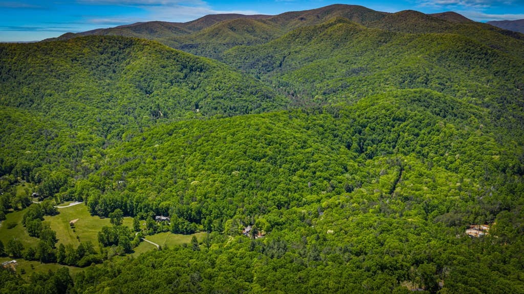 2100 Big Creek Road, Cherry Log GA 30522 - Photo