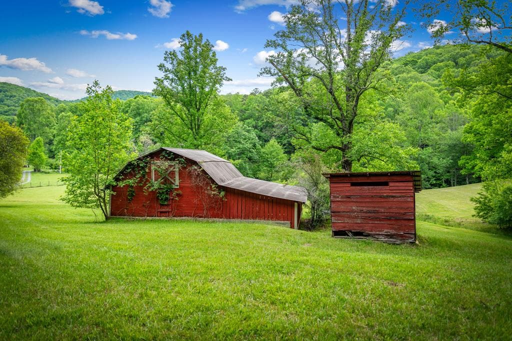 2100 Big Creek Road, Cherry Log GA 30522 - Photo