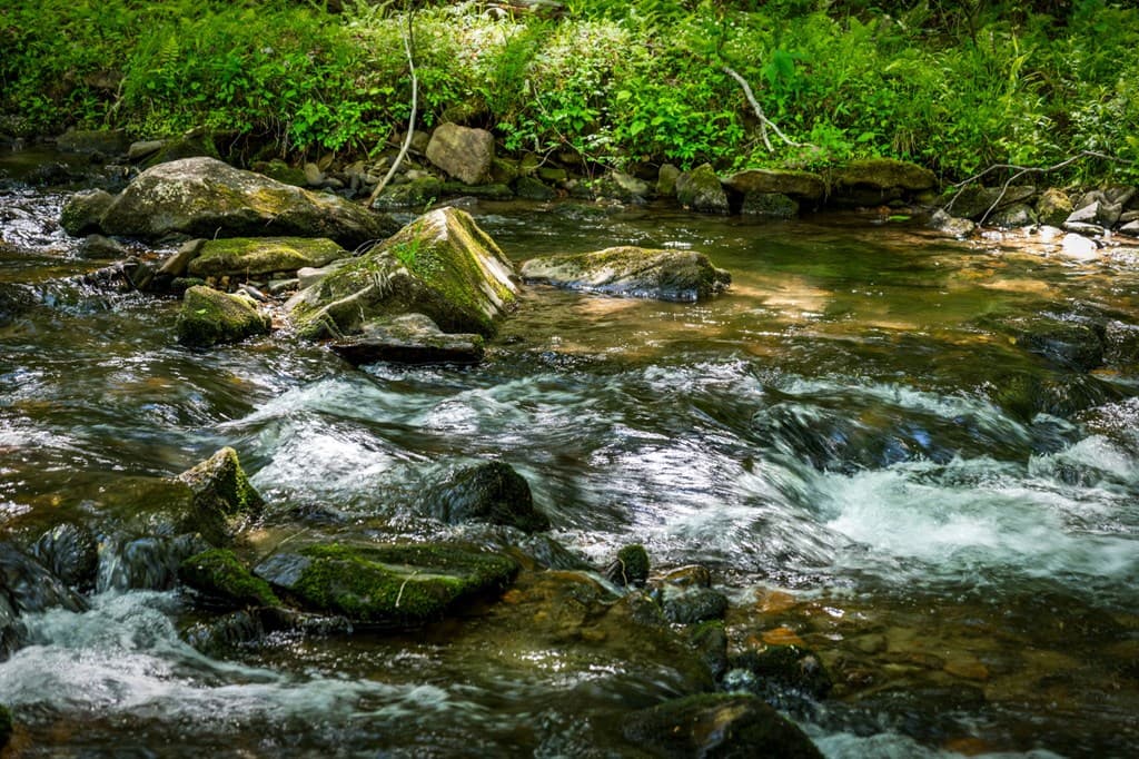 2100 Big Creek Road, Cherry Log GA 30522 - Photo