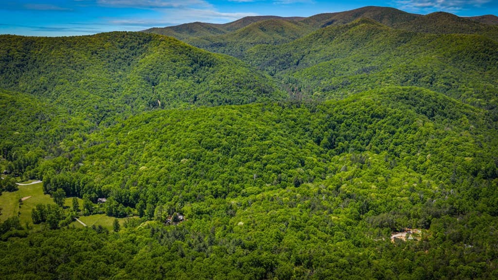 2100 Big Creek Road, Cherry Log GA 30522 - Photo