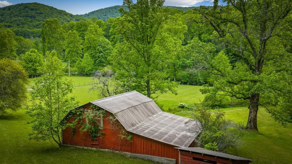 2100 Big Creek Road, Cherry Log GA 30522 - Photo
