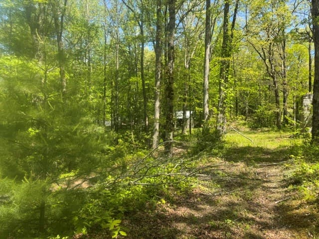 557 Shelton Road, Suches GA 30572 - Photo