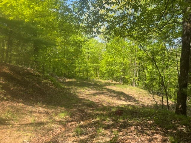 557 Shelton Road, Suches GA 30572 - Photo