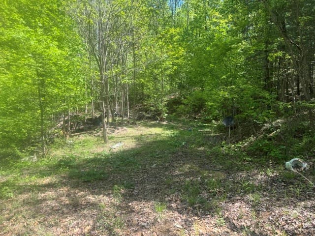 557 Shelton Road, Suches GA 30572 - Photo