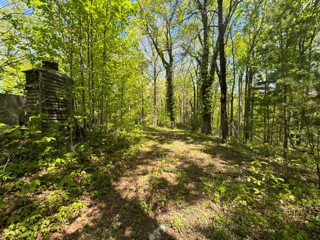 557 Shelton Road, Suches GA 30572 - Photo