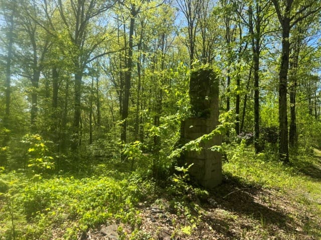 557 Shelton Road, Suches GA 30572 - Photo
