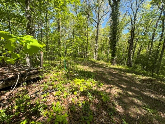 557 Shelton Road, Suches GA 30572 - Photo