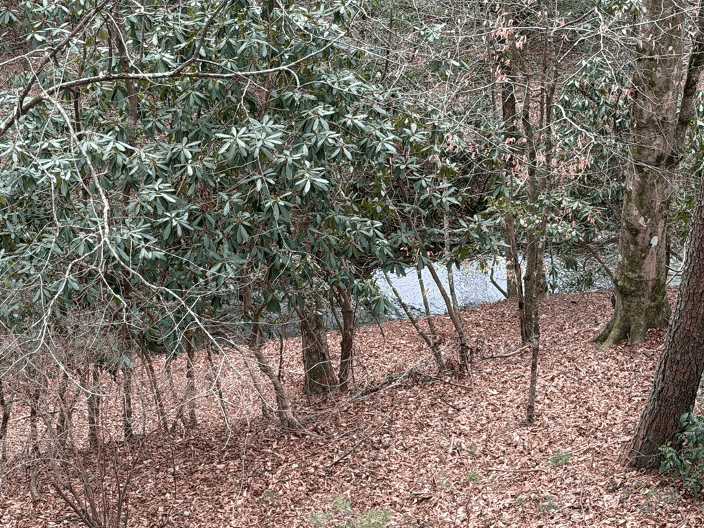 235 Hardslate Road, Blue Ridge GA 30513 - Photo