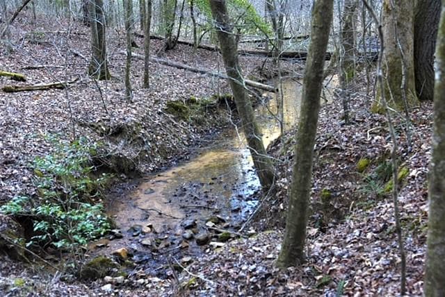 409 Harrison Sluder Road, Ellijay GA 30540 - Photo