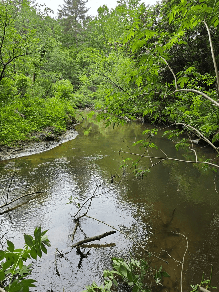 409 Harrison Sluder Road, Ellijay GA 30540 - Photo