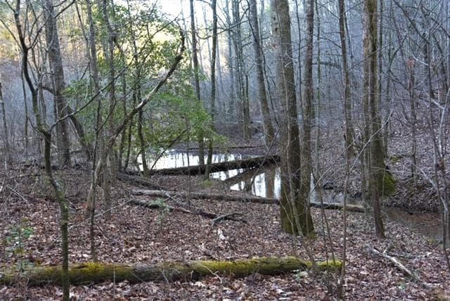 409 Harrison Sluder Road, Ellijay GA 30540 - Photo