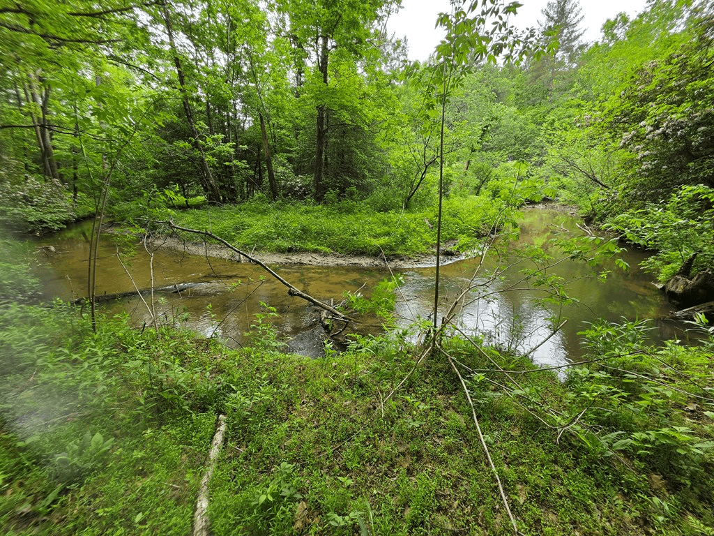 409 Harrison Sluder Road, Ellijay GA 30540 - Photo