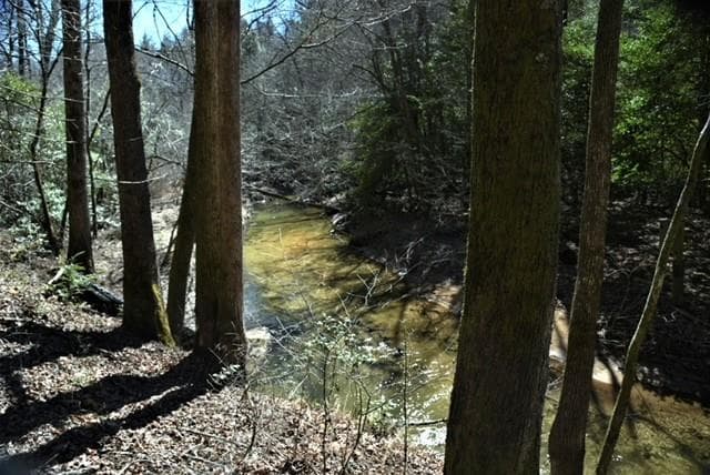 409 Harrison Sluder Road, Ellijay GA 30540 - Photo
