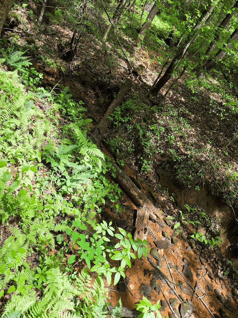 409 Harrison Sluder Road, Ellijay GA 30540 - Photo