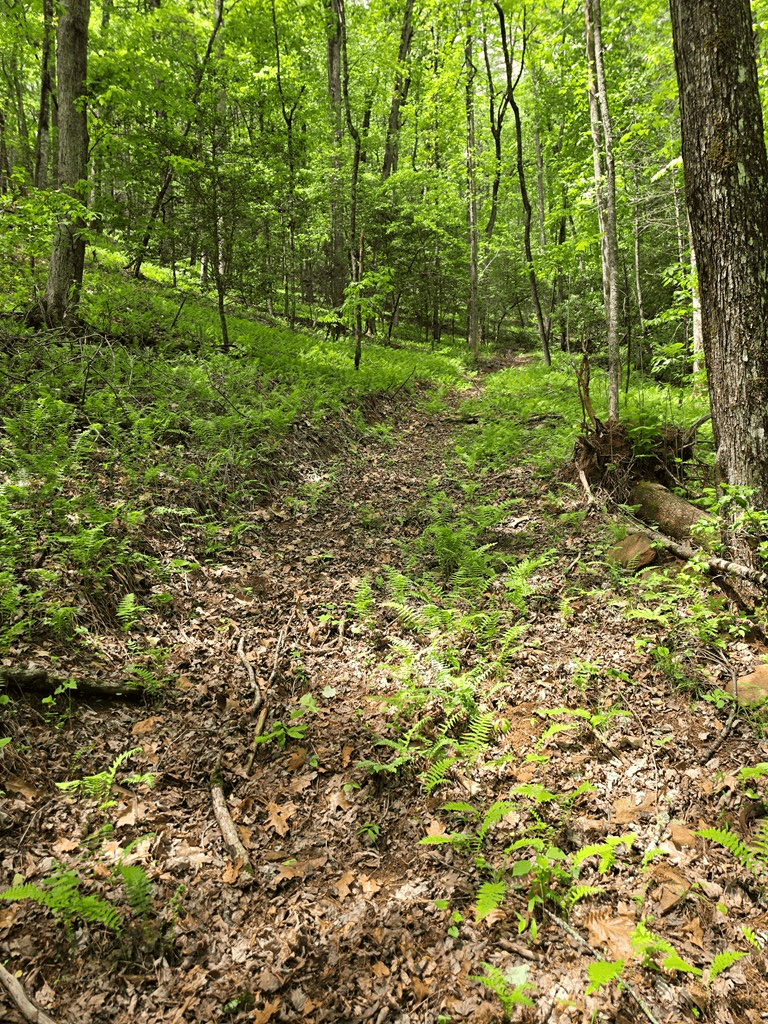 409 Harrison Sluder Road, Ellijay GA 30540 - Photo