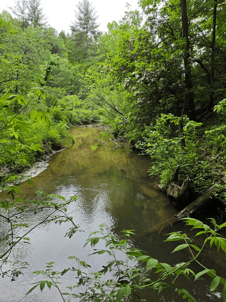 409 Harrison Sluder Road, Ellijay GA 30540 - Photo