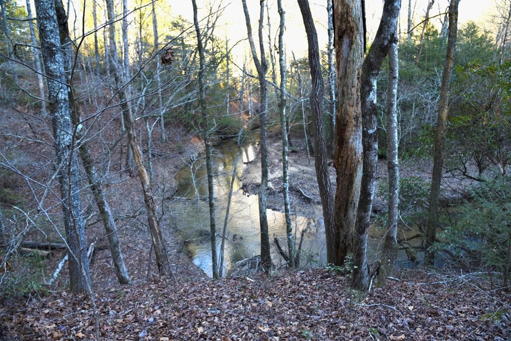 409 Harrison Sluder Road, Ellijay GA 30540 - Photo