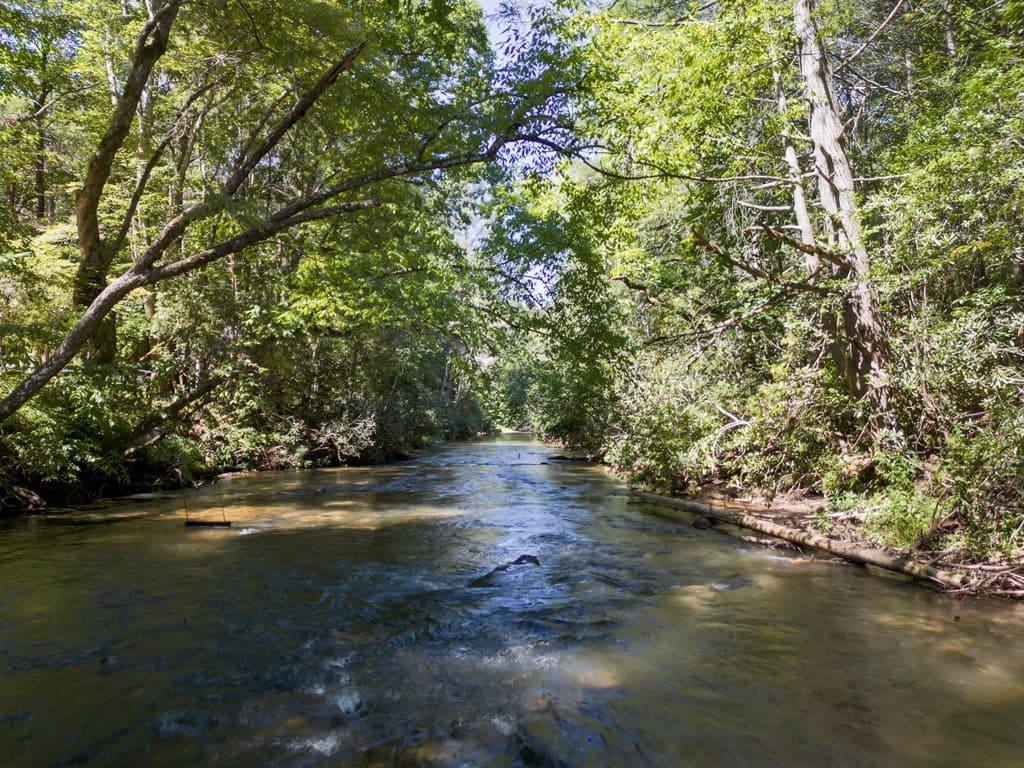 308 Hemlock Trail, Blue Ridge GA 30513 - Photo