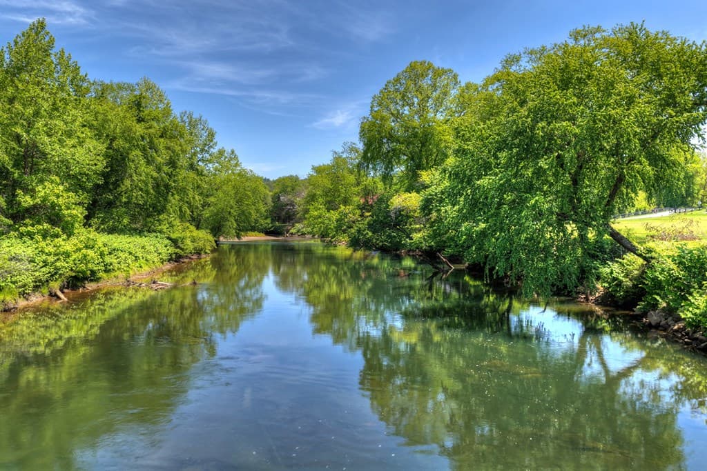 1753 Grassy Creek Road, Copperhill TN 37317 - Photo